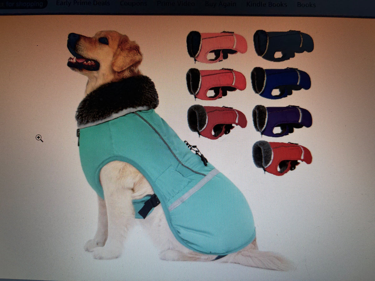 Fall & Winter Dog Essentials
