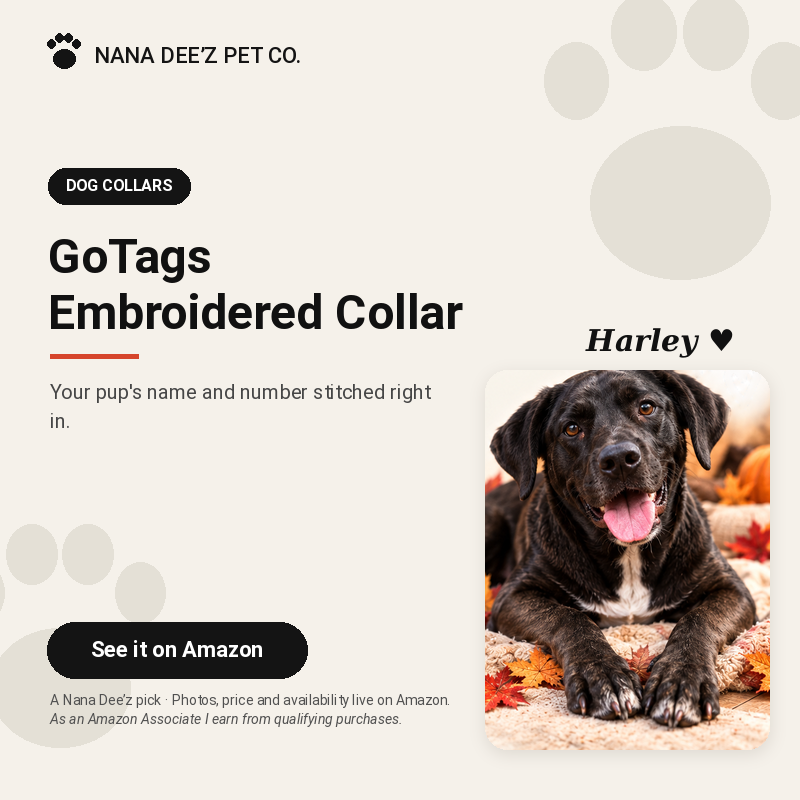 Nana Deez tag with Harley