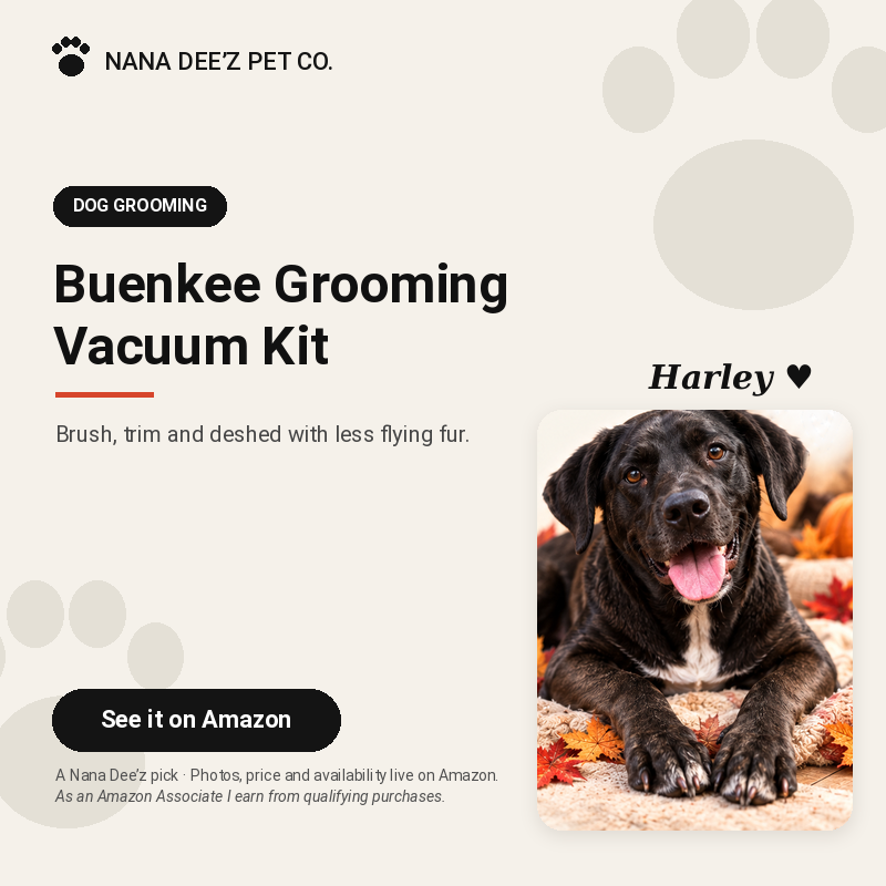 Nana Deez tag with Harley