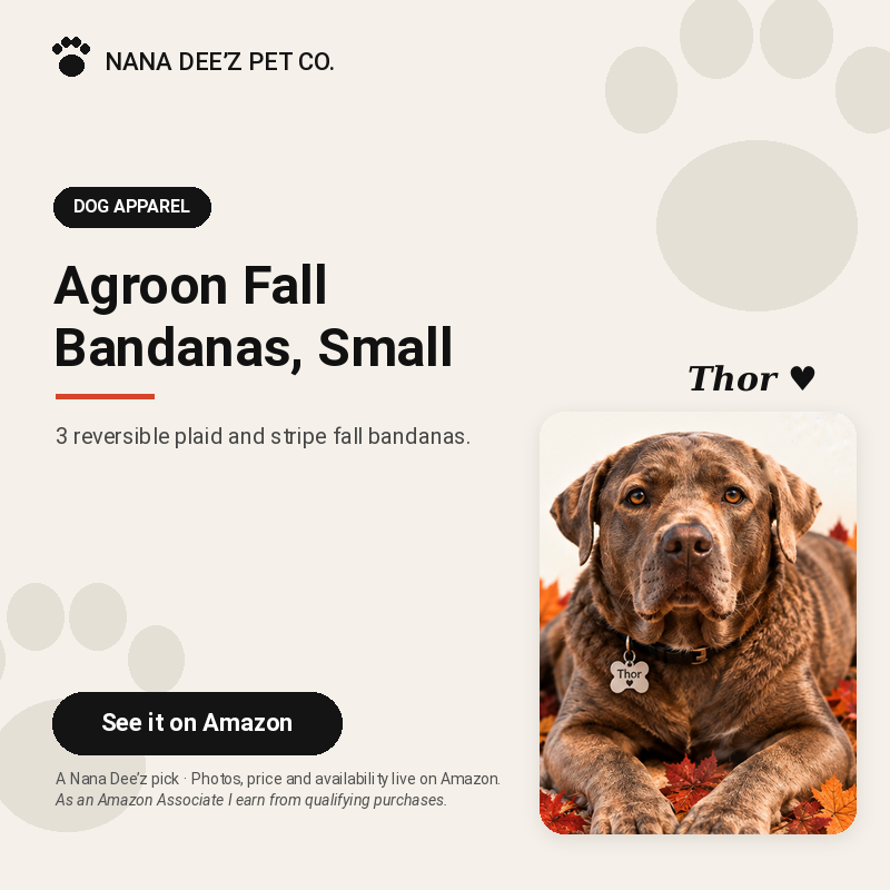 Nana Deez tag with Thor